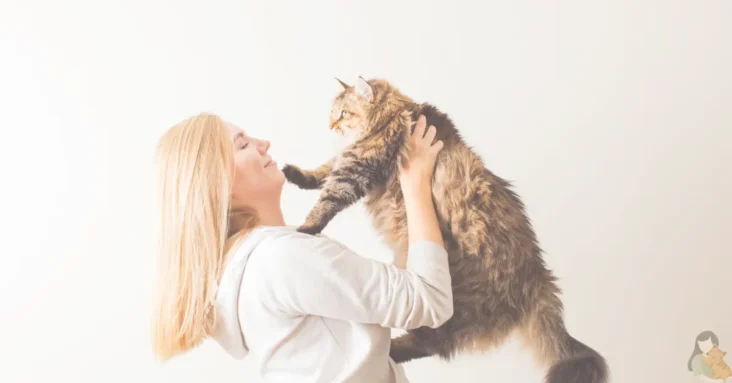 A delightful image of a woman sharing a loving moment with her fluffy cat, showcasing the joy of pet companionship.
