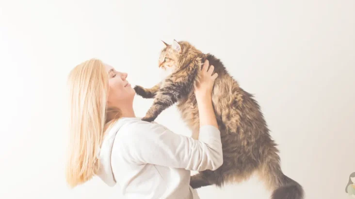 A delightful image of a woman sharing a loving moment with her fluffy cat, showcasing the joy of pet companionship.
