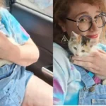 A side-by-side image showing a woman lovingly cuddling a calico kitten inside a car, both calm and content together.