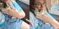 A side-by-side image showing a woman lovingly cuddling a calico kitten inside a car, both calm and content together.
