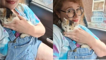A side-by-side image showing a woman lovingly cuddling a calico kitten inside a car, both calm and content together.